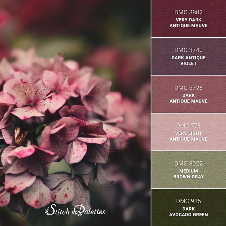 a bunch of flowers that are in some color swatches