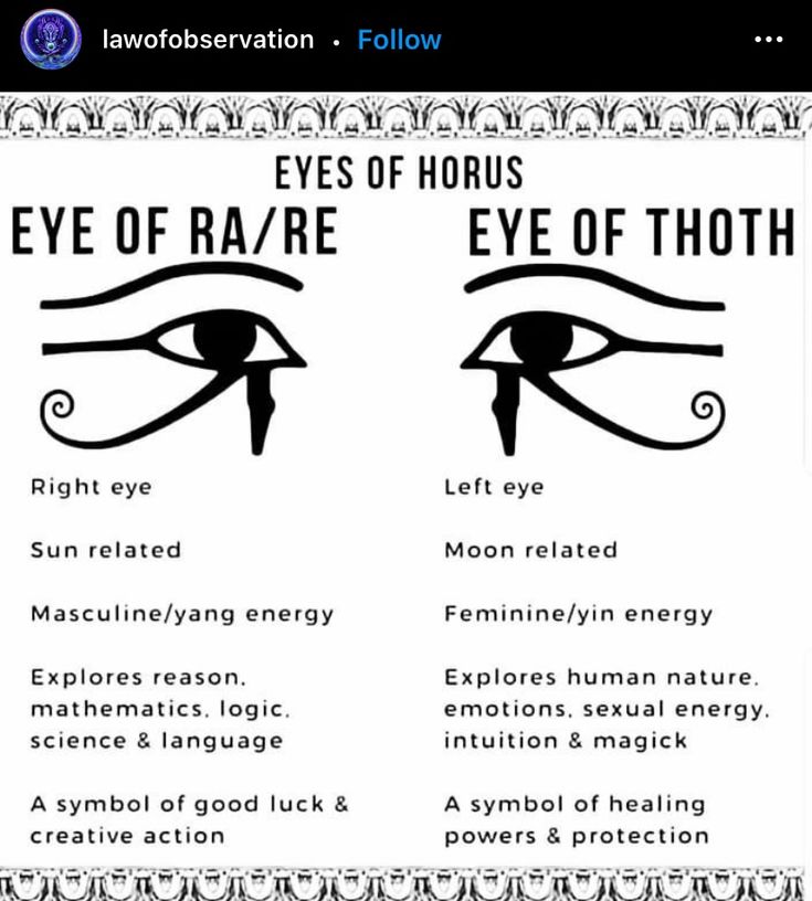 an eye chart with different types of eyes and their corresponding features in the text below