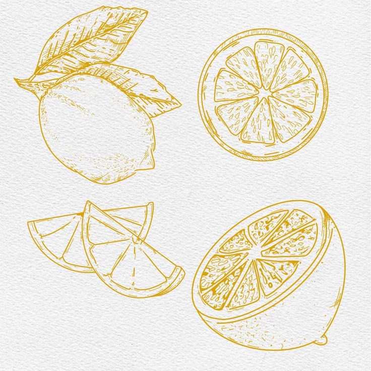 three lemons and two oranges are drawn in yellow ink on a white paper