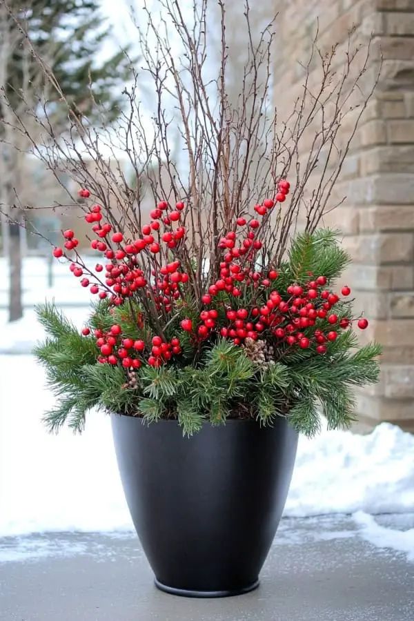 a potted plant with red berries and greenery in the middle of snow covered ground