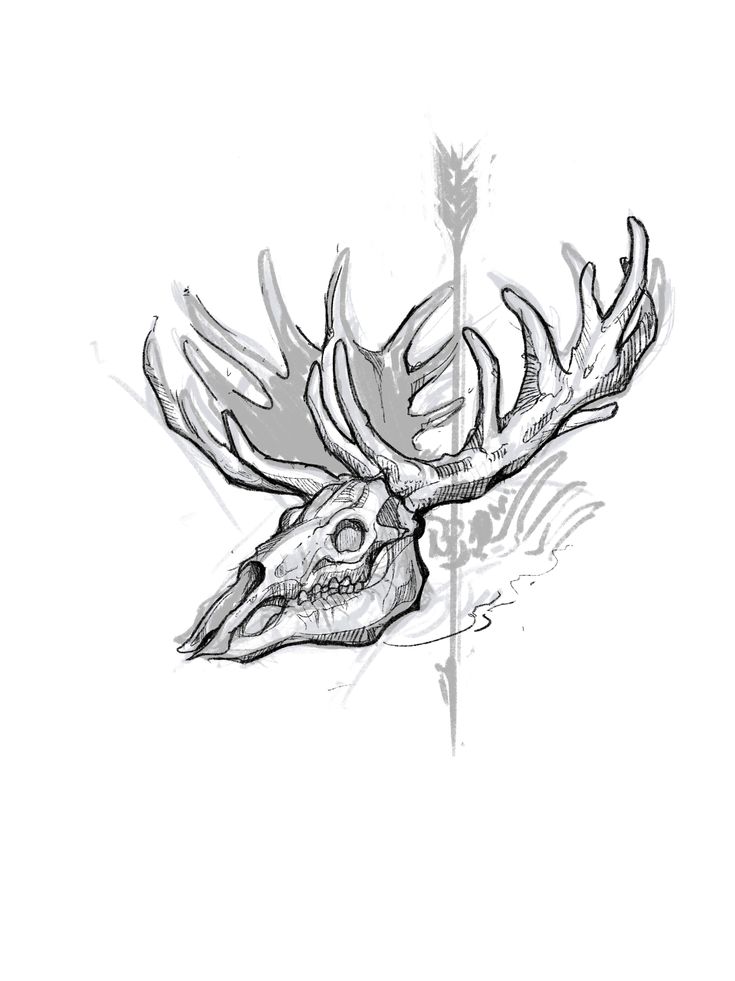 a drawing of a moose's head with antlers on it