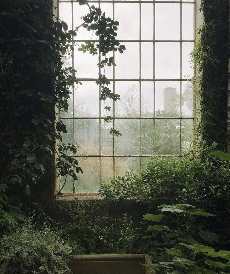 an open window in a dark room with plants growing out of the windows sill