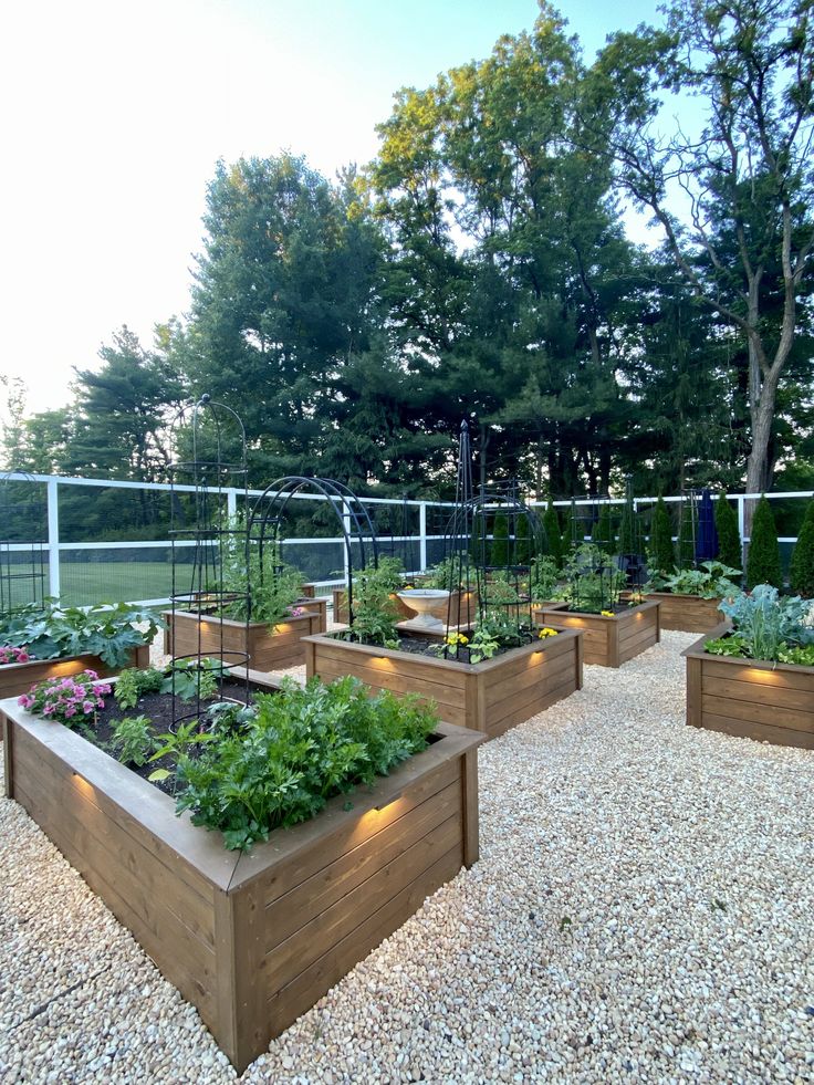 an outdoor garden with many different types of plants and vegetables growing in the planters