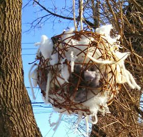 a bird nest hanging from a tree with snow on it