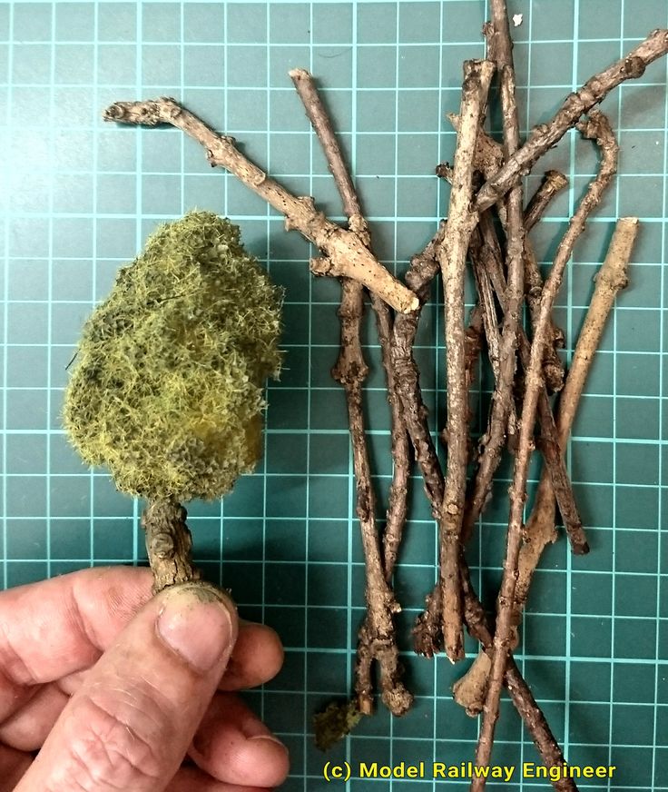 a person is holding up some sticks with moss on them