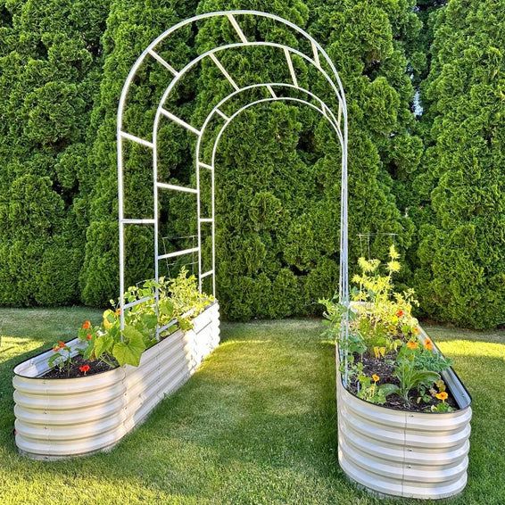 an outdoor garden area with several plants in the center and two metal planters on each side