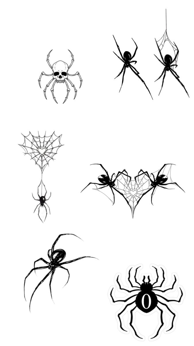 black and white spider tattoo designs