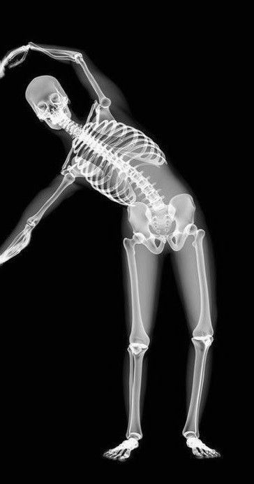 an x - ray image of a skeleton holding a tennis racquet in his right hand