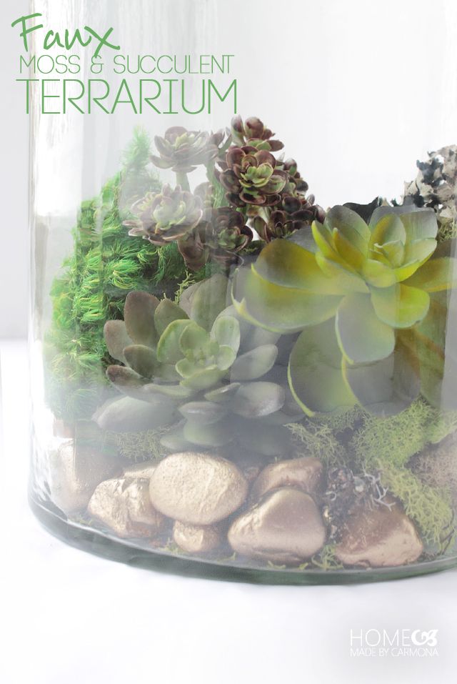 a glass jar filled with plants and rocks