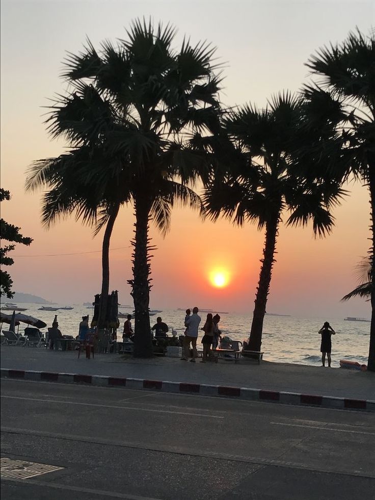 people are standing on the beach watching the sun go down over the water and palm trees