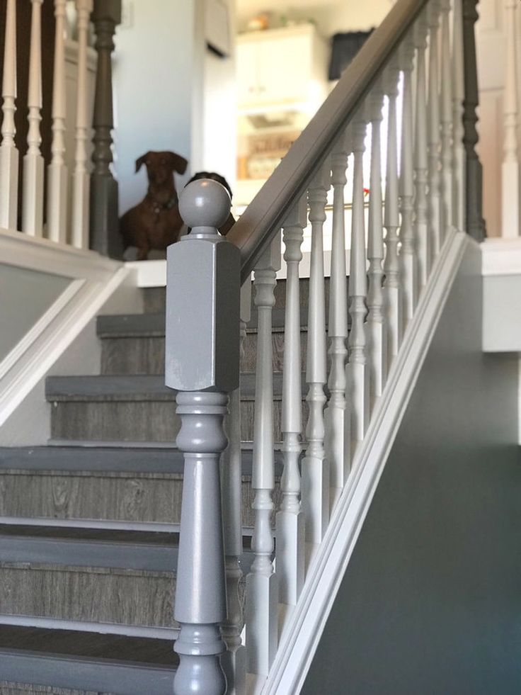 a dog is sitting on the stairs next to a light pole and railings in a house