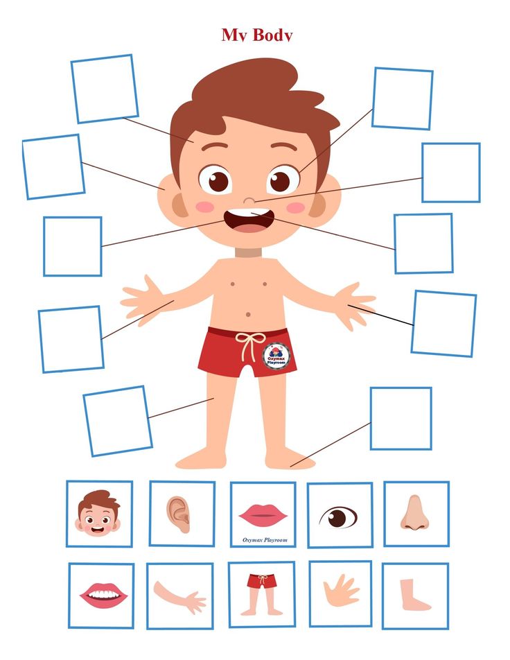 a cartoon boy with different facial expressions and body parts, including the name of each child