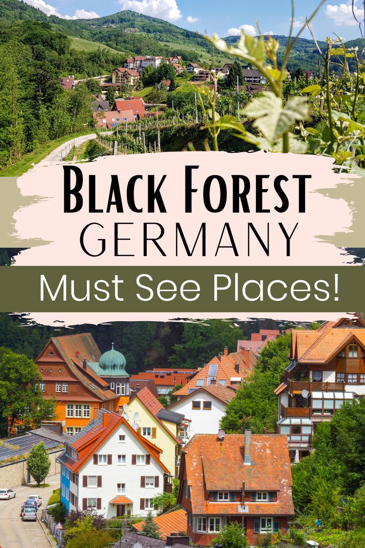 black forest germany with text overlay that reads must see places