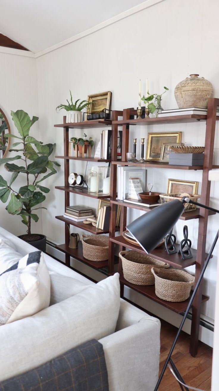 a living room filled with furniture and lots of plants in baskets on top of shelves