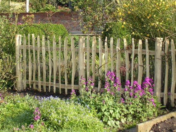 a wooden fence surrounded by plants and flowers