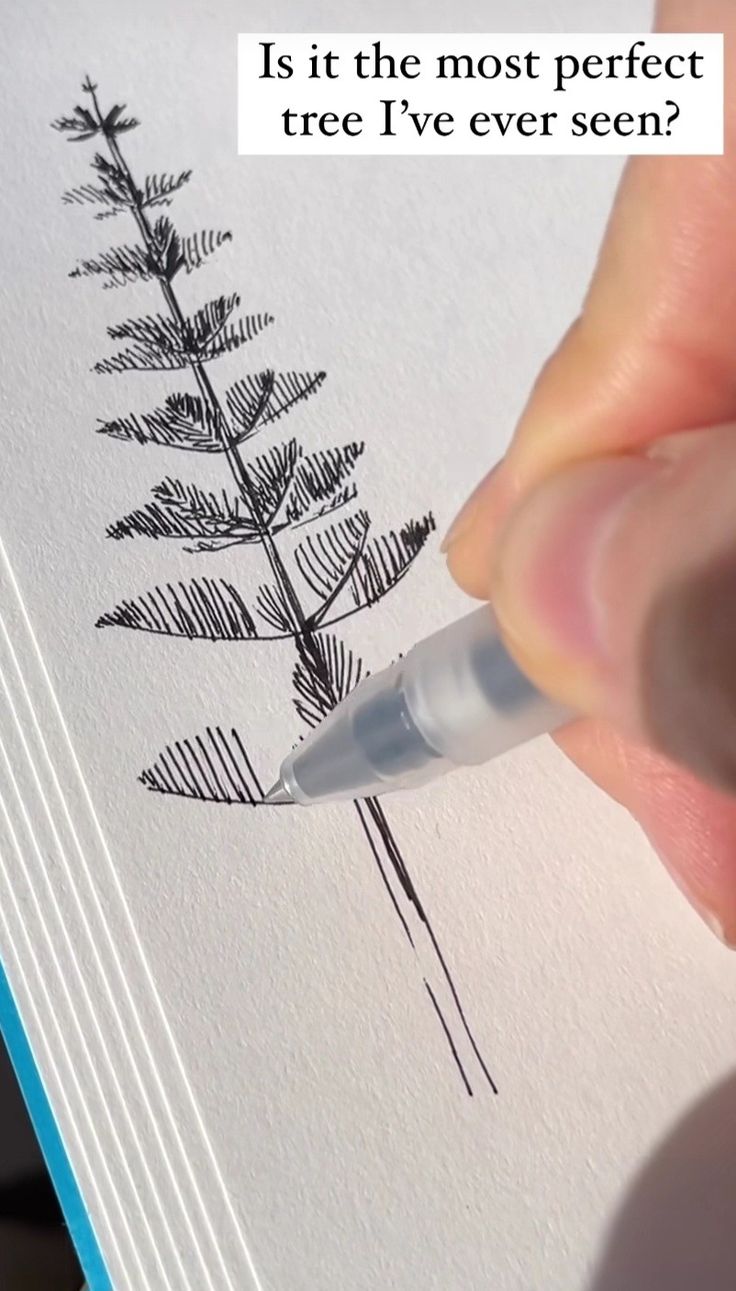 someone is drawing a pine tree on paper with a marker that says, is it the most perfect tree i've ever seen?