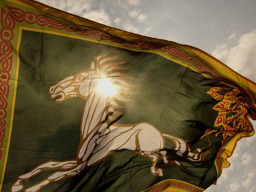 a large green and yellow flag with a horse on it's back flying in the sky