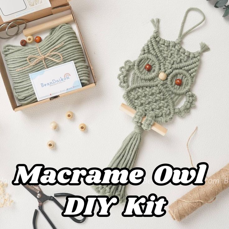 the macrame owl diy kit is ready to be made into an ornament