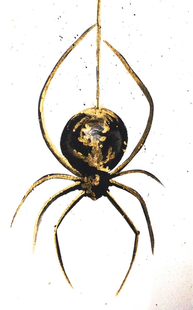 a golden spider is sitting on its web