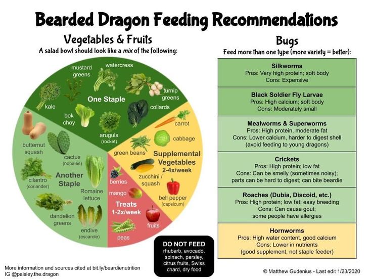 a diagram showing the different types of vegetables