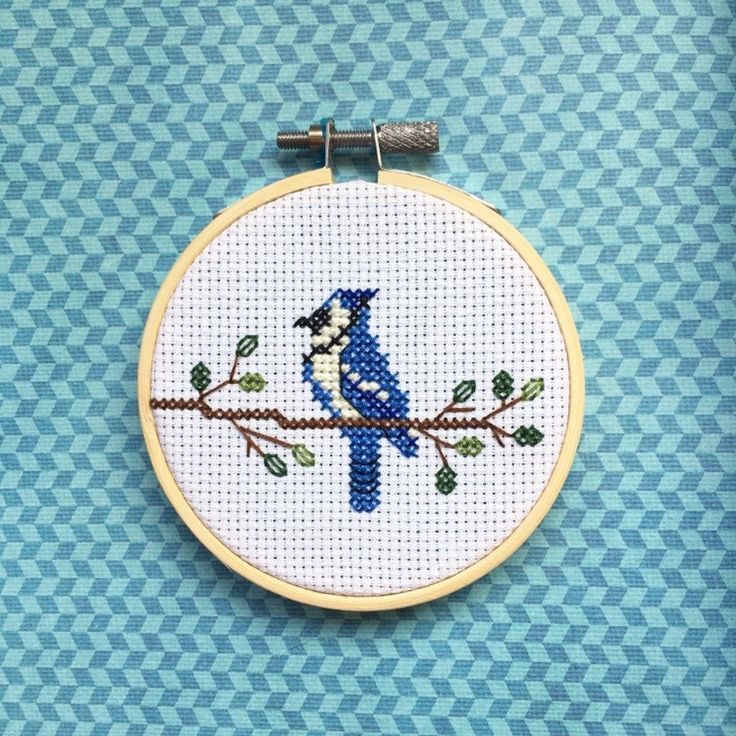 a blue bird sitting on top of a tree branch in front of a blue background