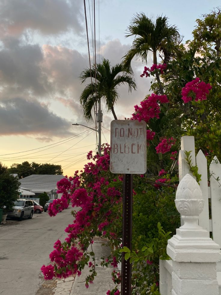 a sign that is sitting on the side of a road next to some pink flowers