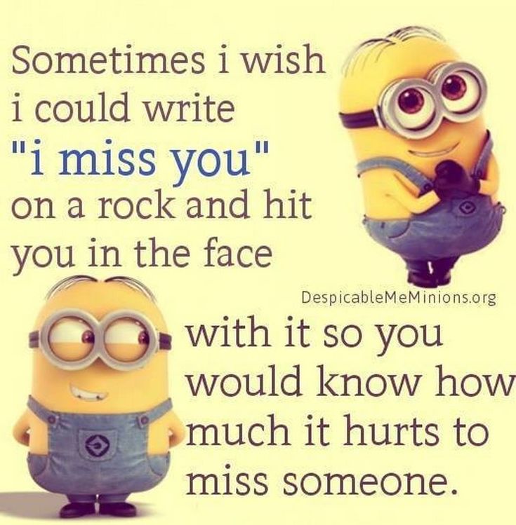 two minion characters with the caption sometimes i wish i could write i miss you on a rock and hit you in the face