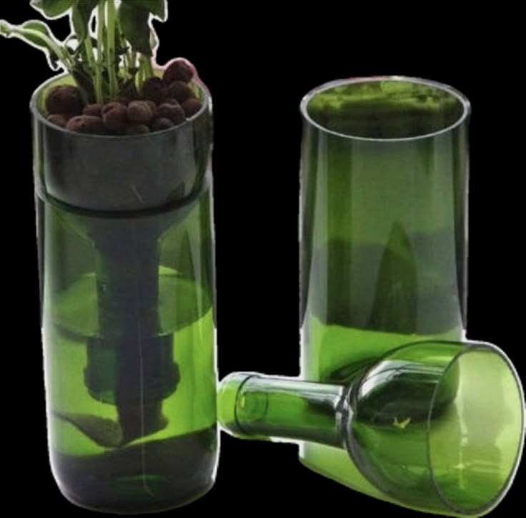 two green vases with plants in them sitting next to each other