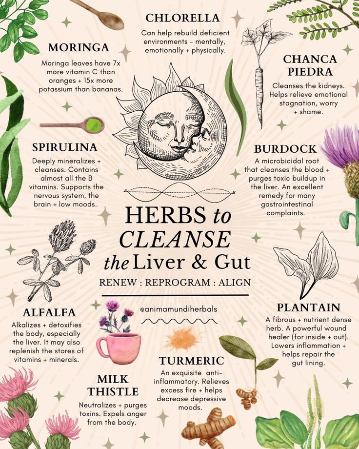 Detoxifying Herbs, دورة شهرية, Magia Das Ervas, Medical Herbs, Magic Herbs, Herbal Apothecary, Natural Healing Remedies, Herbal Healing, Herbal Magic