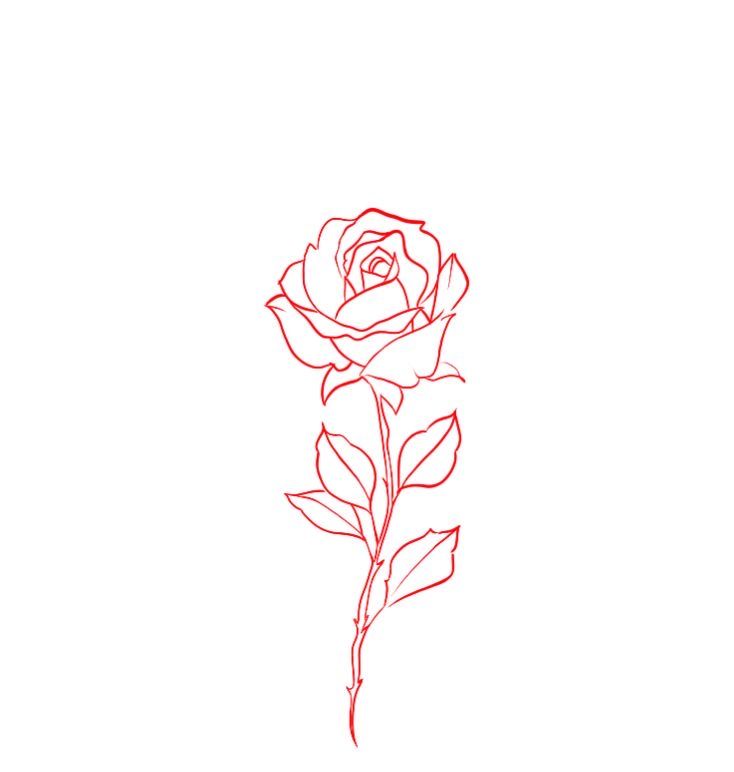 a single rose is drawn in red ink on a white paper with the word love written below it