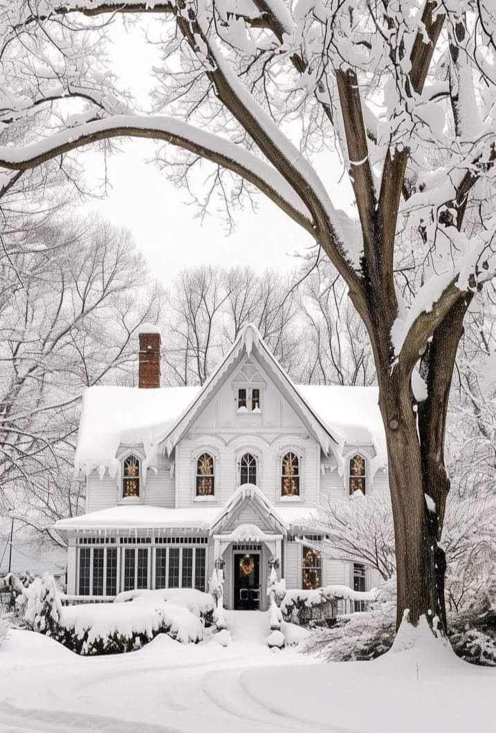 a large white house covered in snow next to a tree