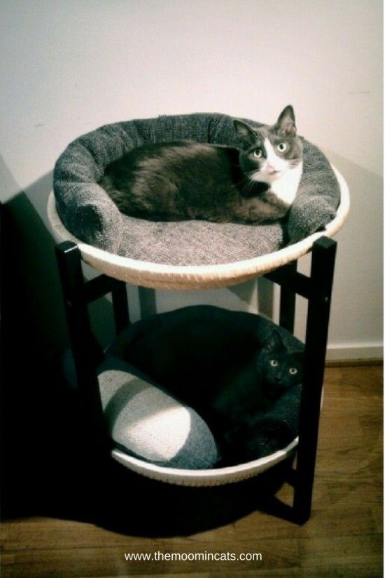 two cats laying in a cat bed on top of a table