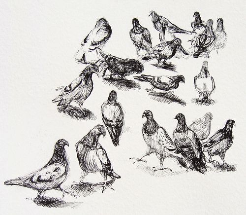 a drawing of birds sitting on the ground and standing in front of eachother