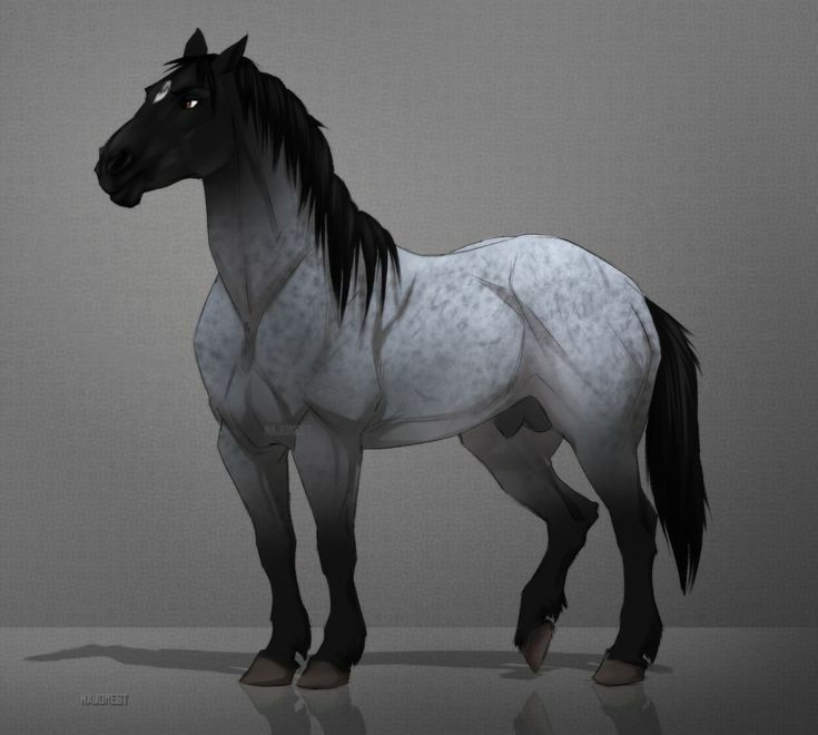 a white and black horse standing on top of a gray floor next to a wall