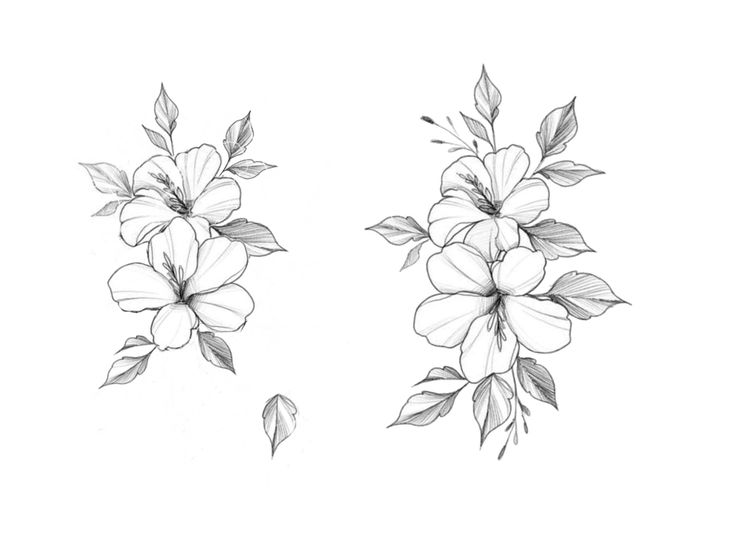 some flowers that are drawn in pencil on paper