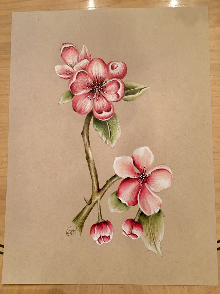 a drawing of pink flowers on brown paper