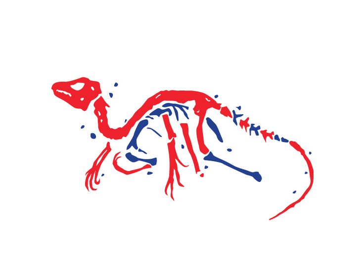 a red and blue lizard on a white background