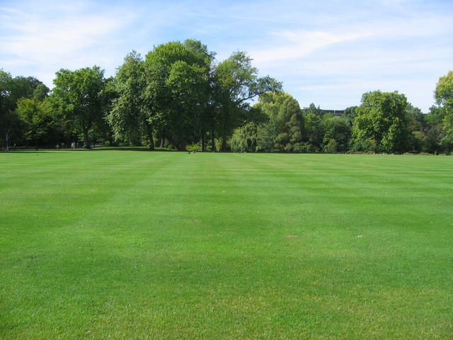 a large open field with trees in the background