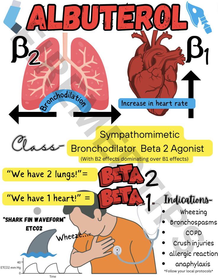 the anatomy of the heart and its functions info sheet for kids to learn how to use it