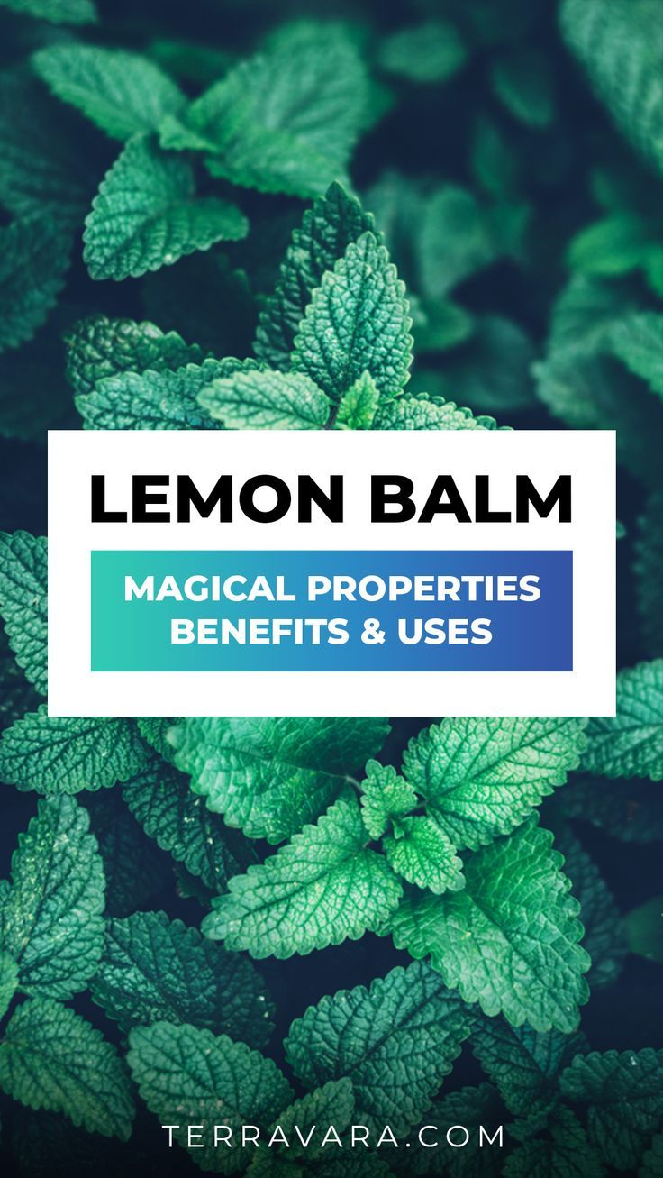 Lemon balm magical properties. Lemon Balm Tea Benefits, Lemon Balm Benefits, Lemon Balm Uses, Lemon Balm Oil, Lemon Balm Recipes, Lemon Balm Essential Oil, Lemon Balm Plant, Lemon Balm Tincture, Melissa Officinalis