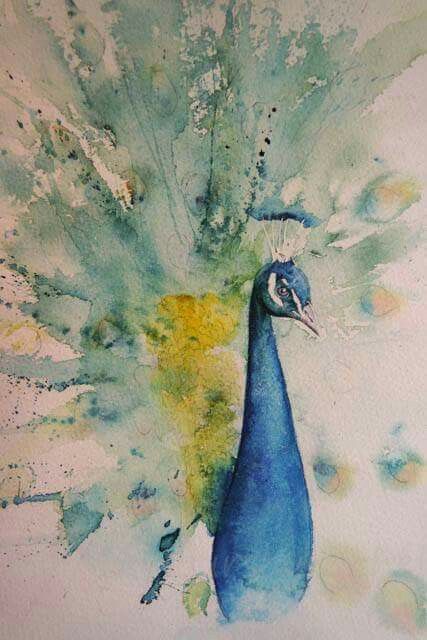 a watercolor painting of a blue peacock