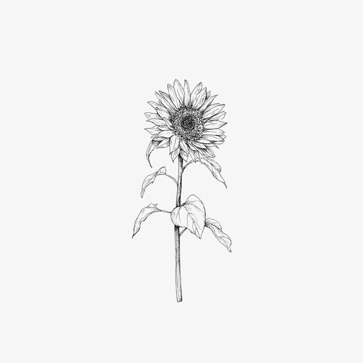 Sunflower Tattoo Thigh, Sunflower Tattoo Simple, Sunflower Tattoo Sleeve, Sunflower Tattoo Shoulder, Model Tattoo, Tattoos Mandala, Sunflower Drawing, Boho Styl, Sunflower Tattoos