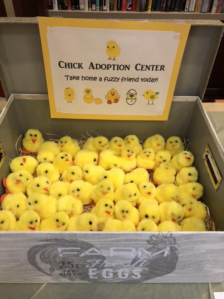 a box filled with lots of little yellow chicks