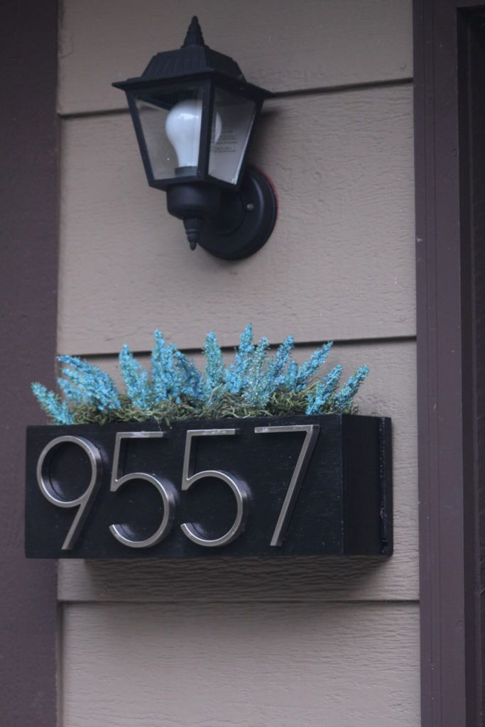 a house number sign on the side of a building with blue flowers growing out of it