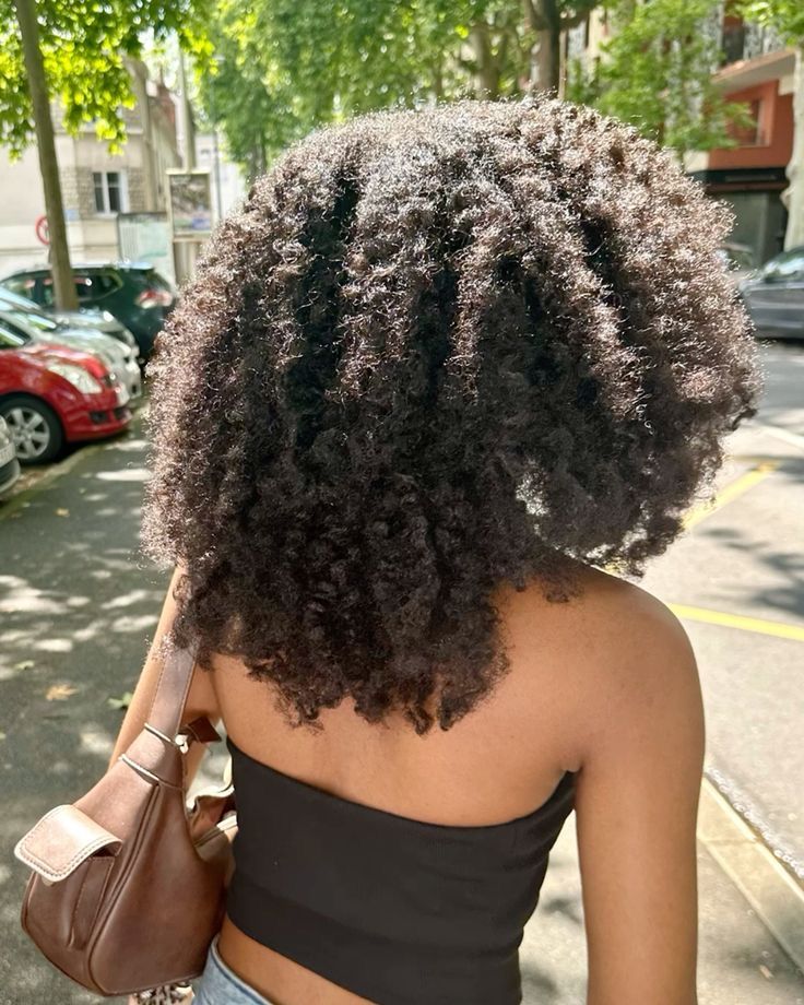 Twist Out Aesthetic, 4c Natural Styles, As I Am Color Curl, Beach Hairstyles For Natural Hair, Natural Low Maintenance Hairstyle, Vintage Natural Hairstyles, 4b Hair Aesthetic, Layered 4c Hair, Natural Hair Aesthetic Faceless