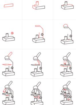 how to draw a microscope step by step