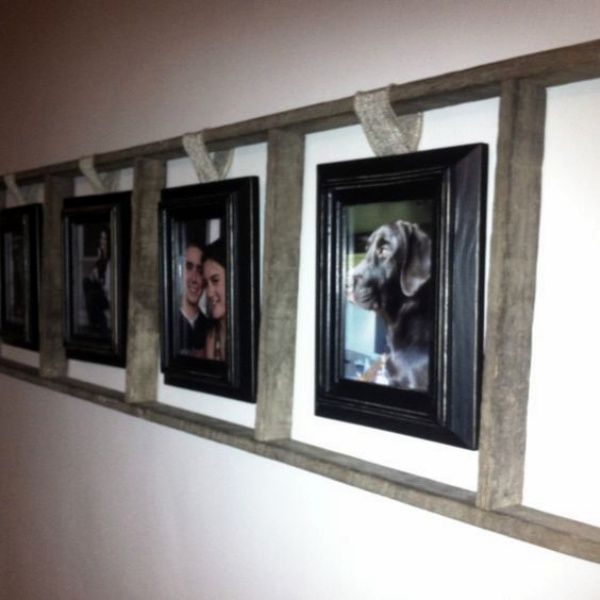 four framed pictures hang on the wall in front of a couple's face and dog