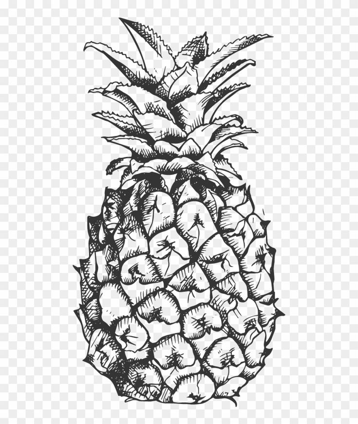 a black and white drawing of a pineapple