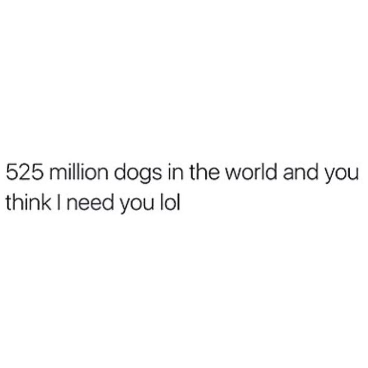 the text reads, $ 25 million dogs in the world and you think i need you lo