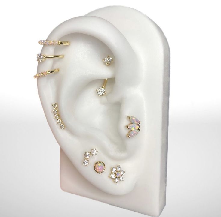 an ear with several different types of piercings on it's sides and in the middle